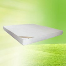 興佰康竹炭棉地磁床墊